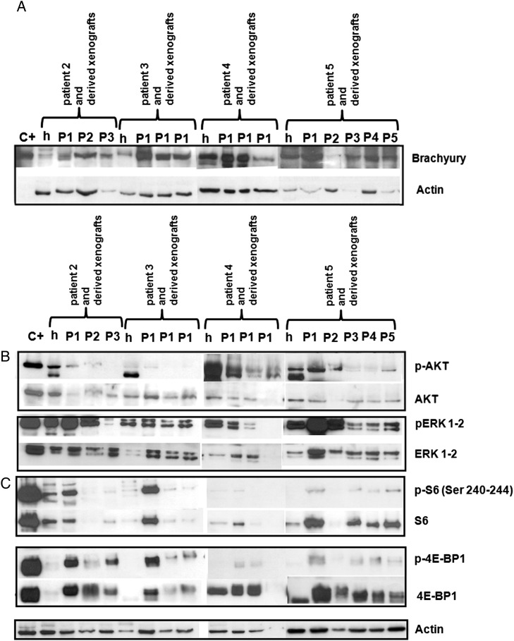 Fig. 3.