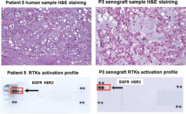 Fig. 4.