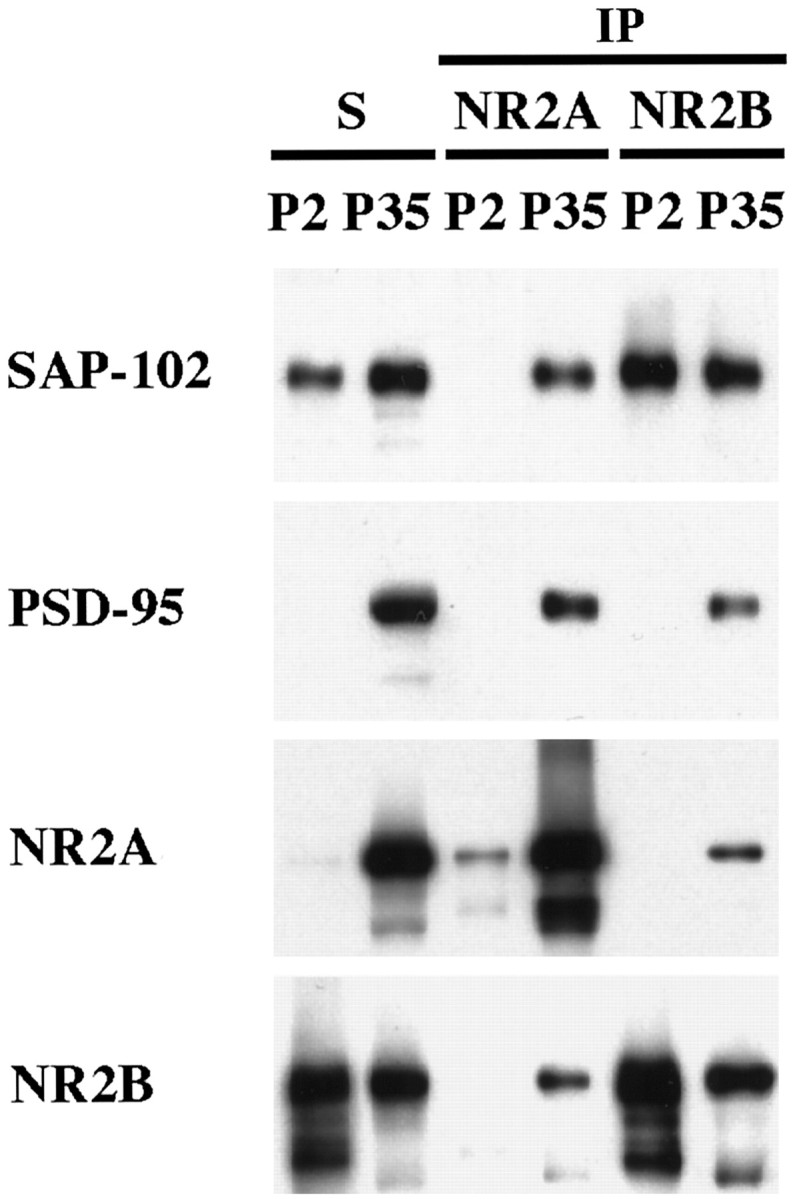 Fig. 9.