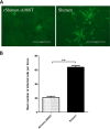 FIG 3