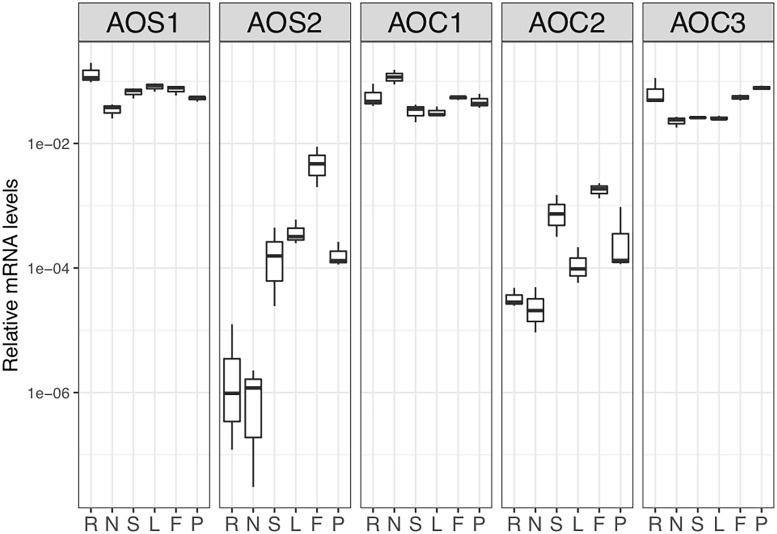 Fig 1