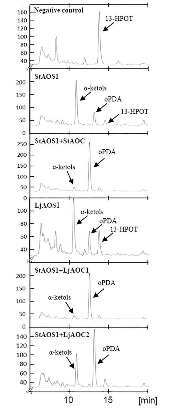 Fig 2