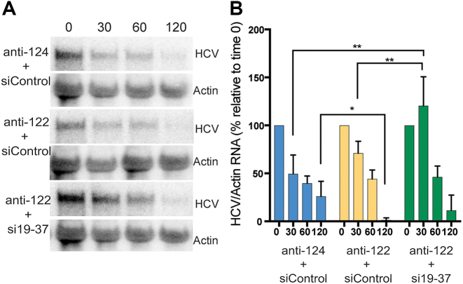 Figure 10.