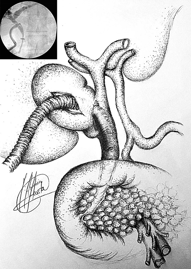Fig. 7