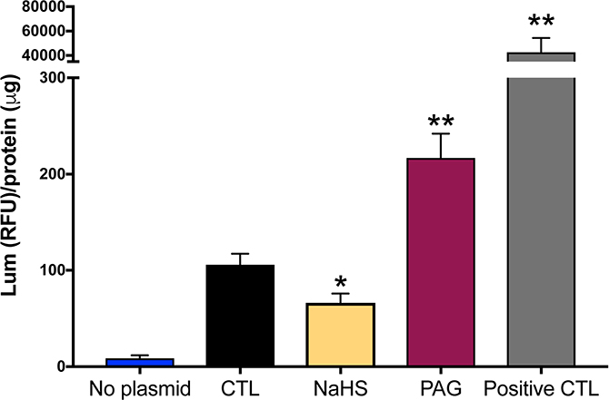 Figure 10.