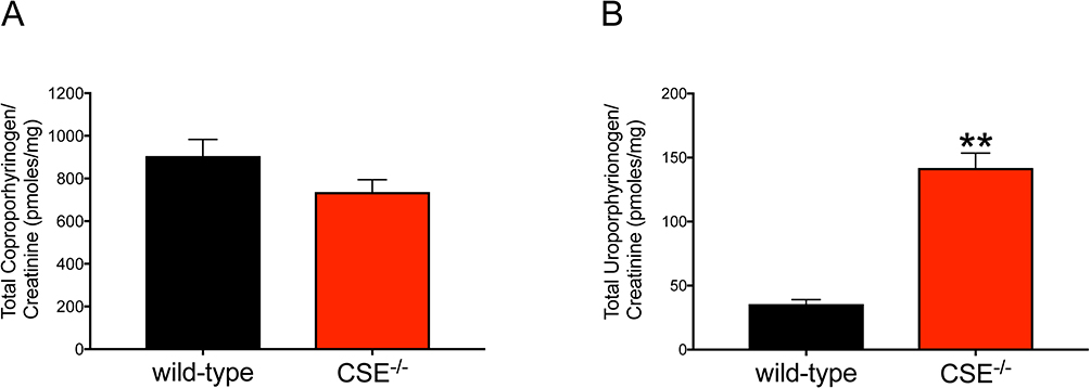 Figure 6: