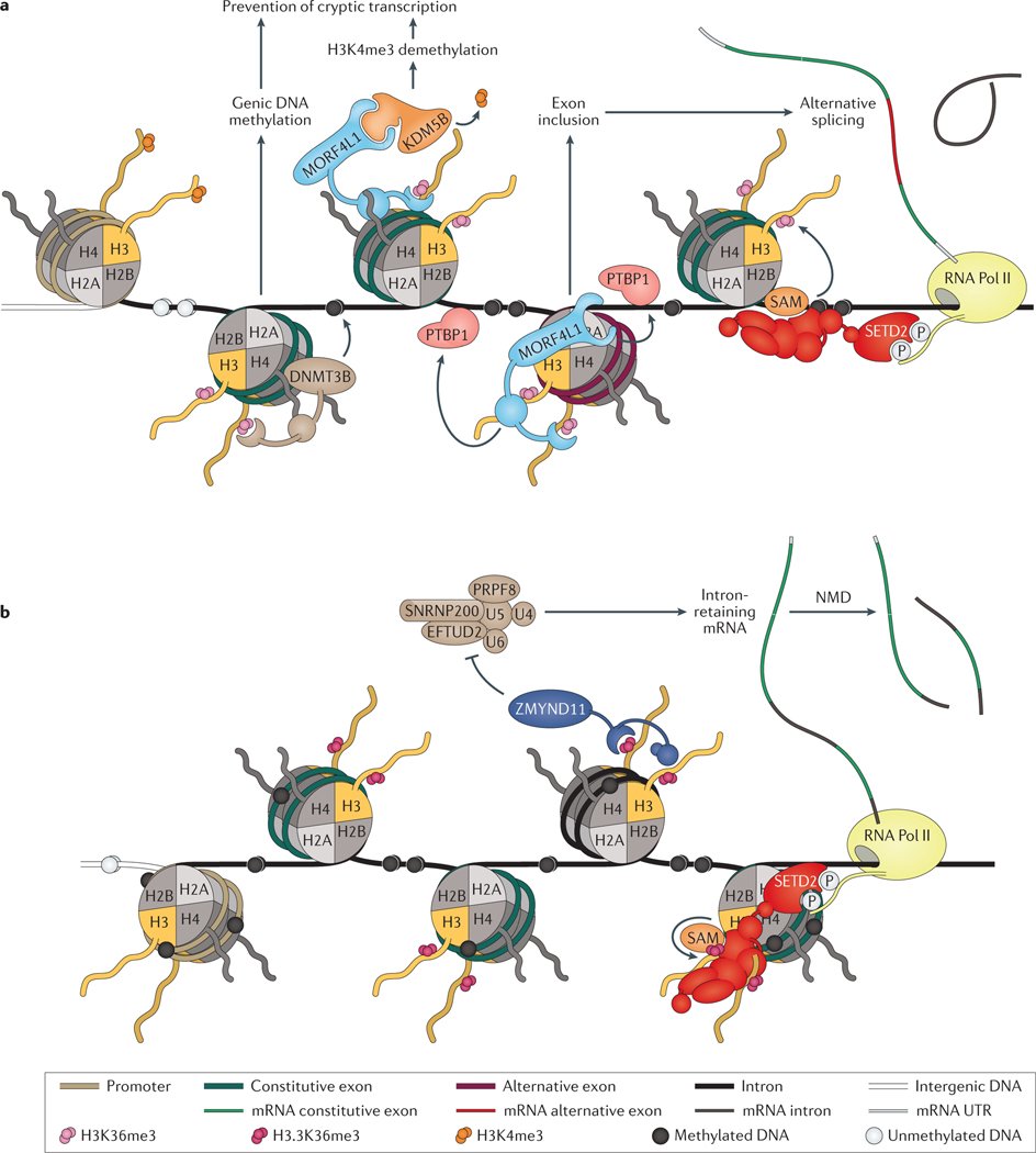 Figure 4 |