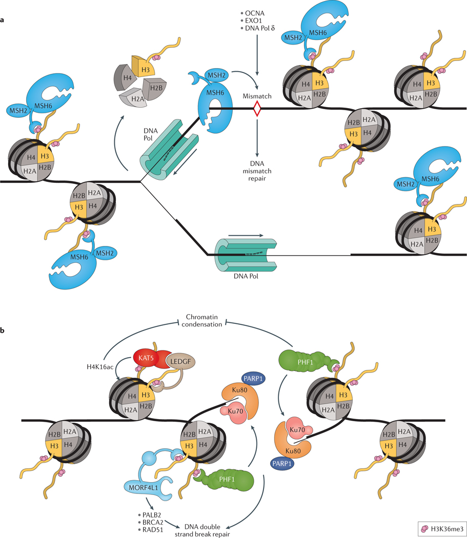 Figure 3 |