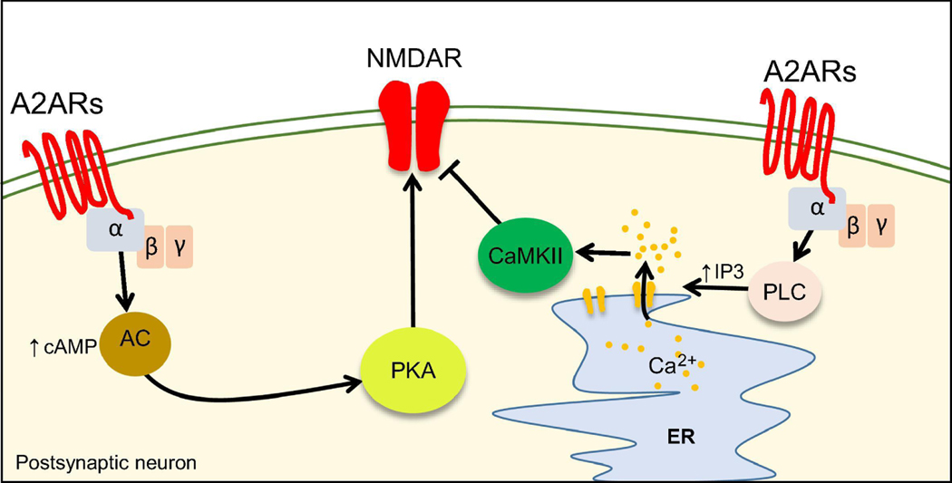 Figure 7.