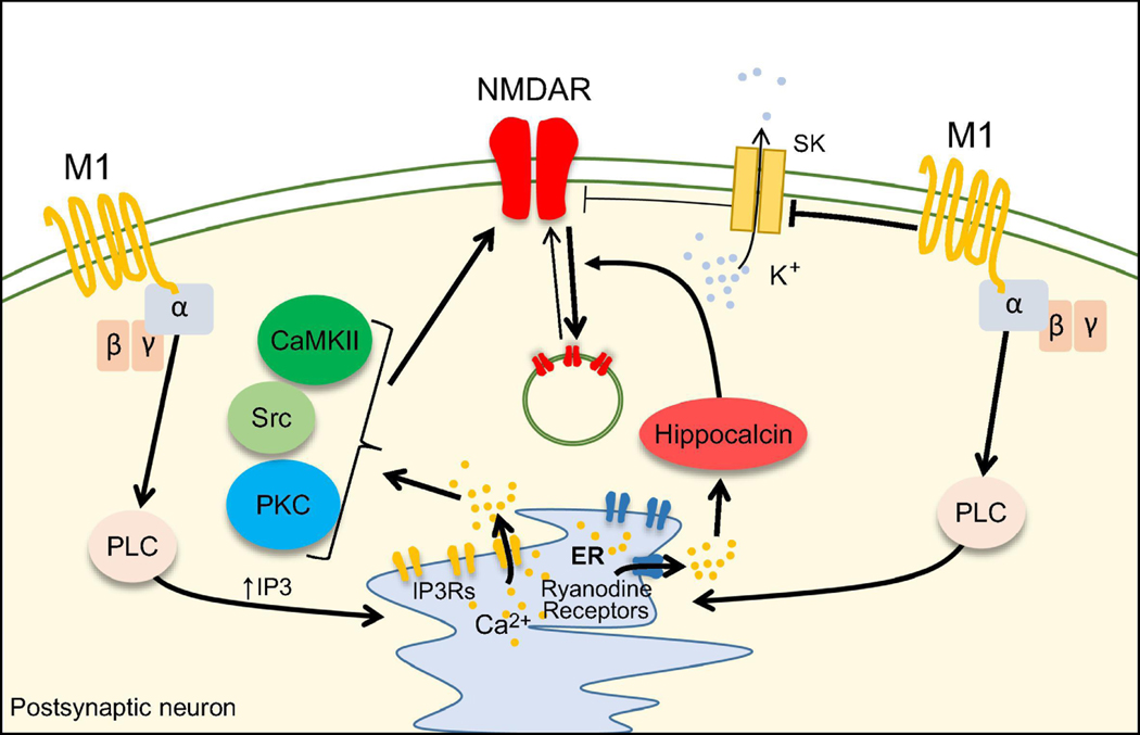 Figure 5.