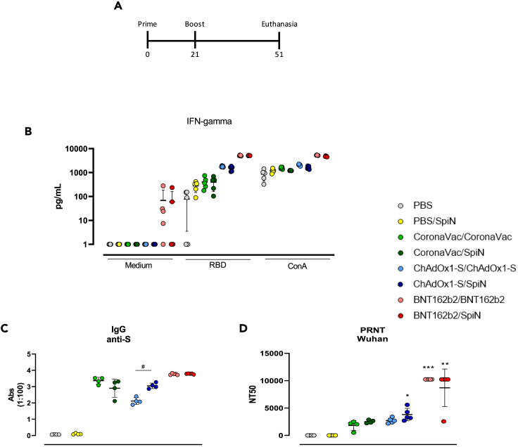 Figure 4