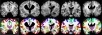 Figure 7: