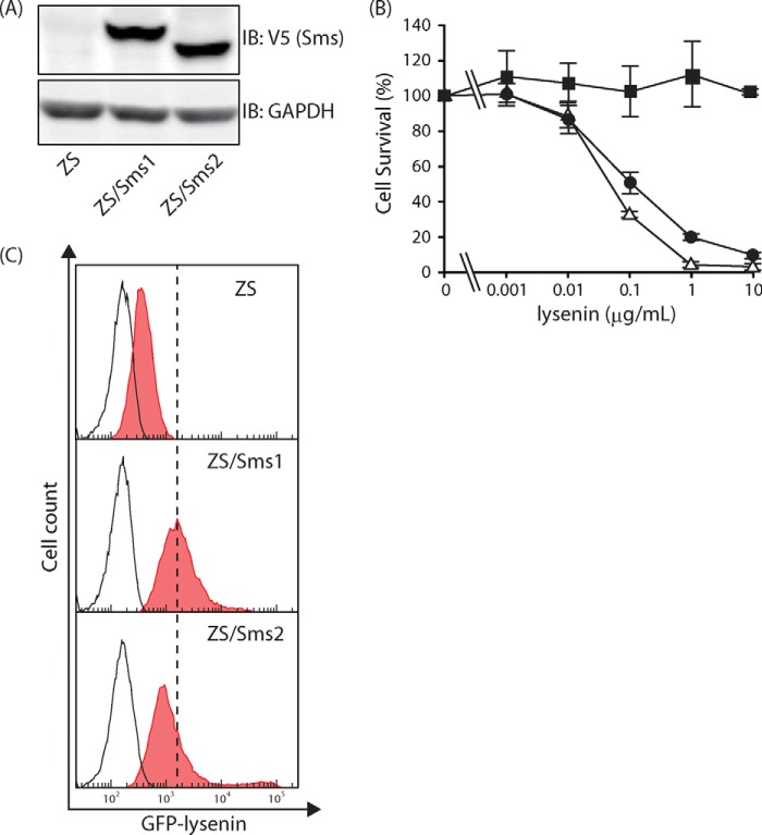 FIGURE 2.