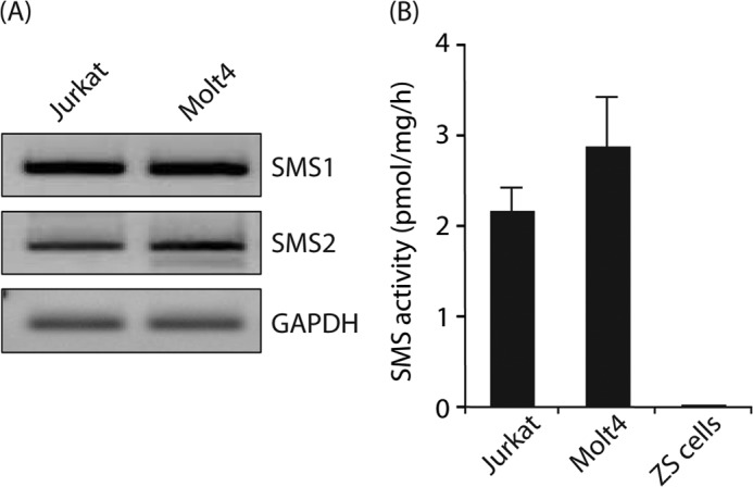 FIGURE 1.