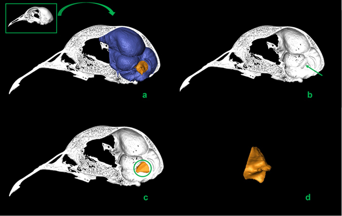 Figure 5