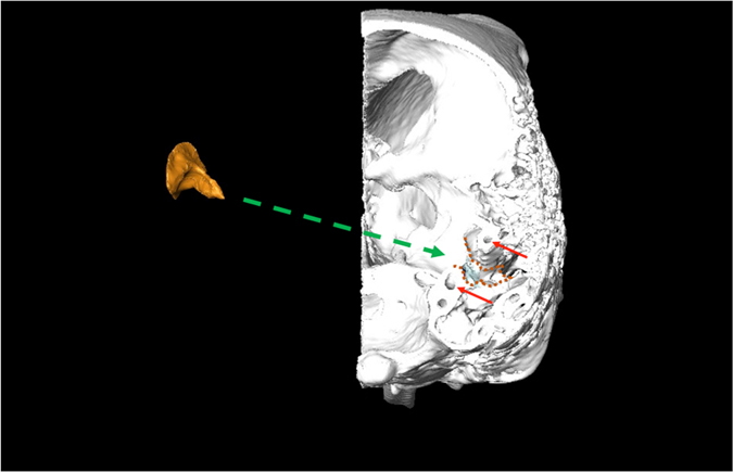 Figure 6