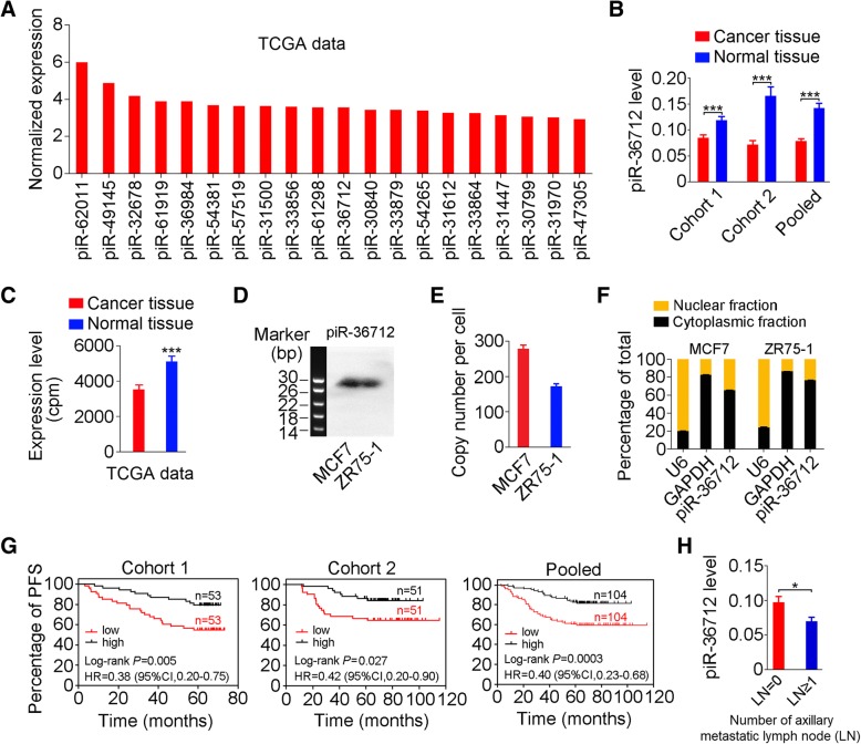 PIWI-interacting RNA-36712 restrains breast cancer progression and ...