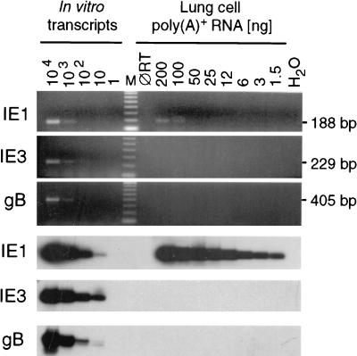 FIG. 8