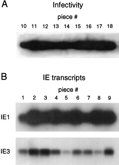 FIG. 9