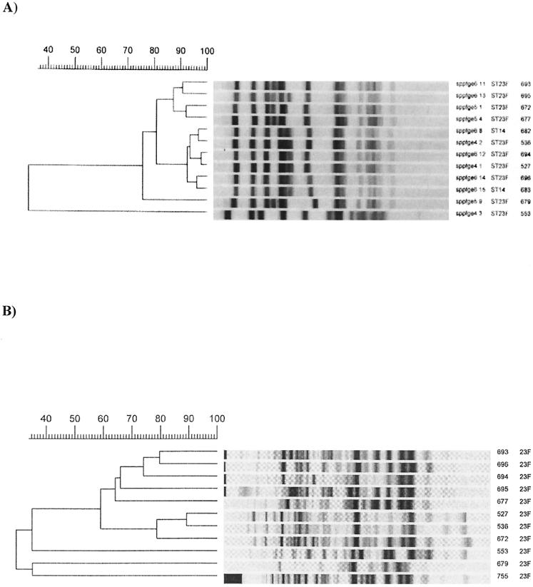 FIG. 2.