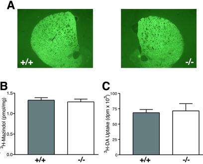 Fig 3.