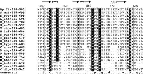 Fig 1.