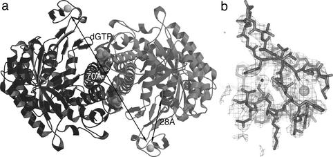 Fig 3.