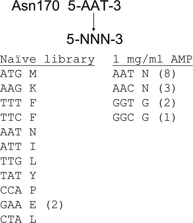 FIGURE 1.