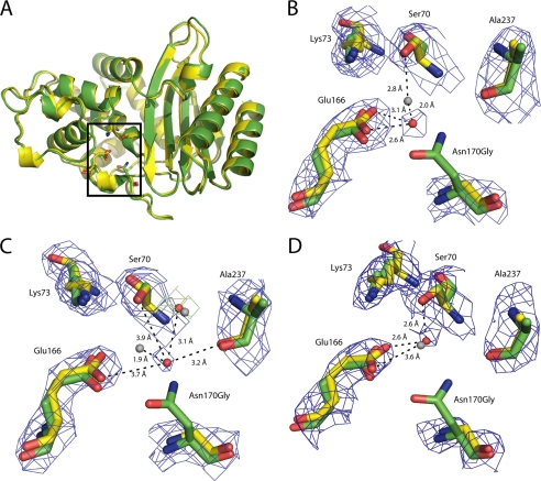 FIGURE 5.