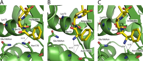 FIGURE 4.