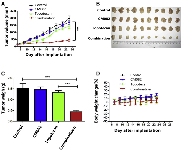 Figure 2