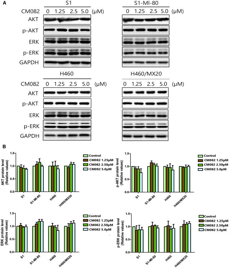 Figure 6