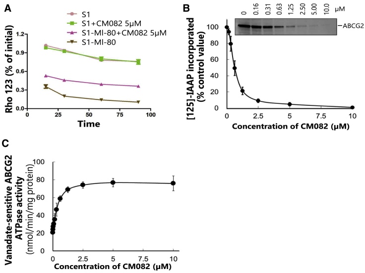 Figure 4