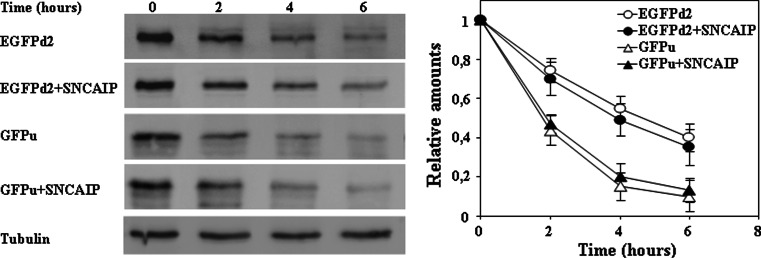 Fig. 7