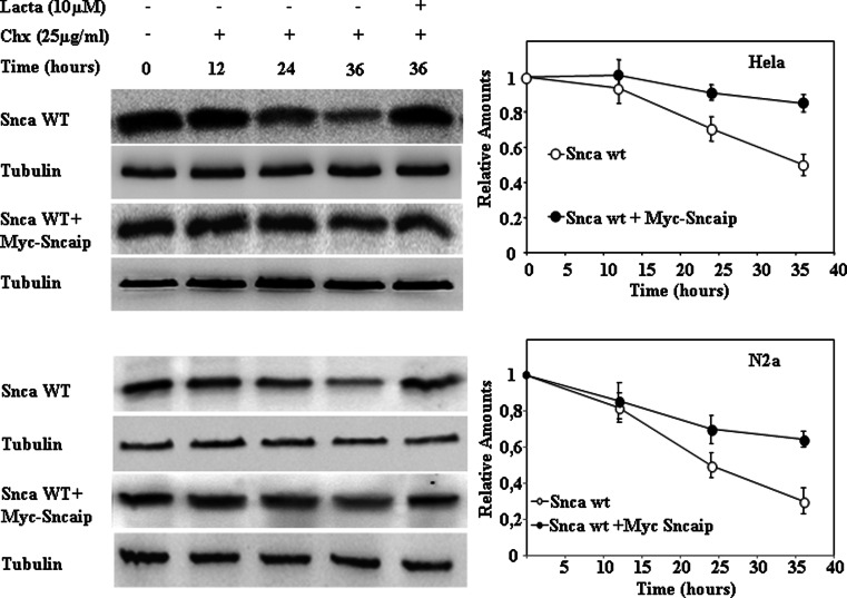 Fig. 6