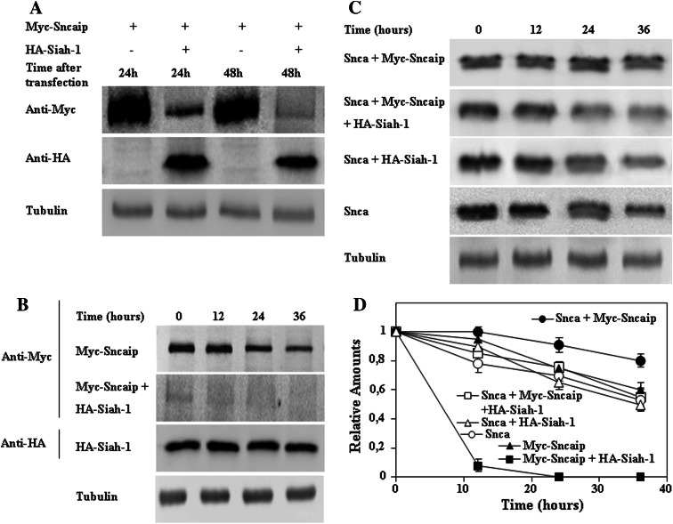 Fig. 8