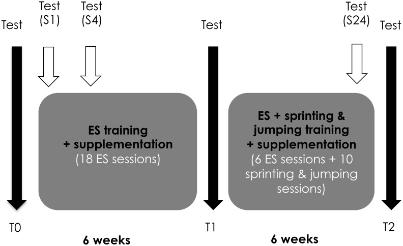 FIGURE 1