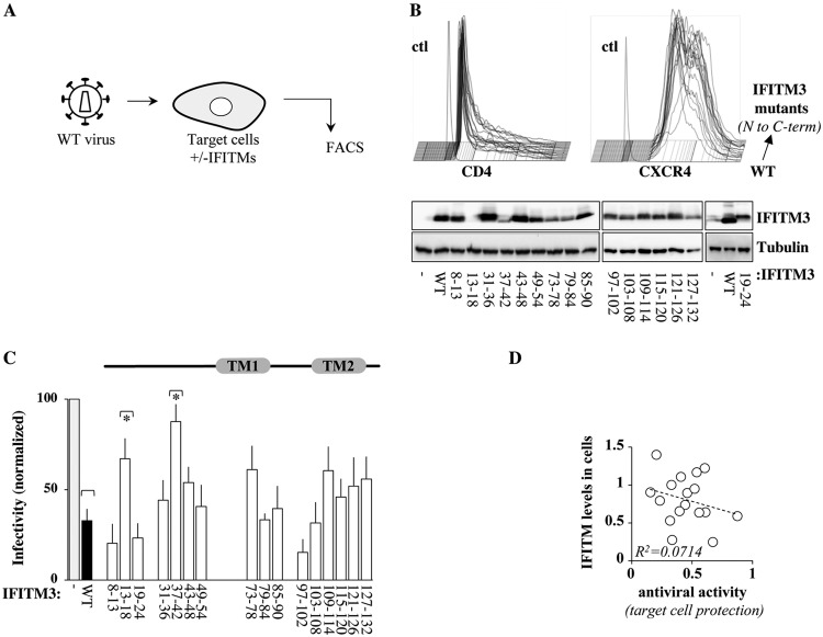 FIG 8