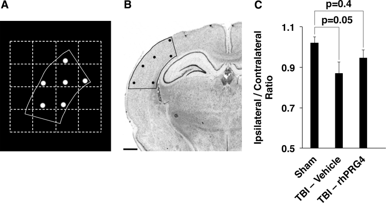 FIG. 7.