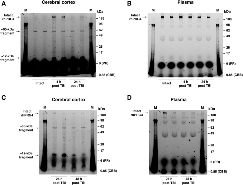 FIG. 3.