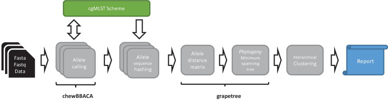 FIGURE 1