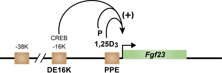 Figure 6