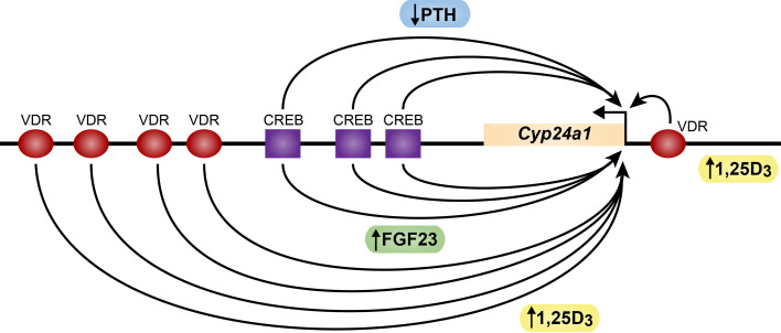 Figure 3