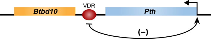 Figure 5