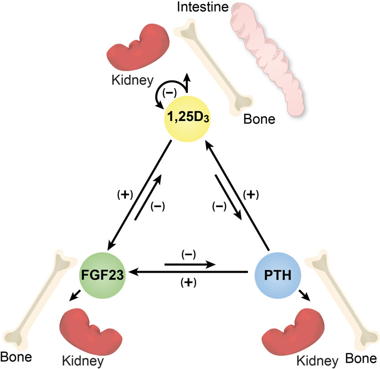 Figure 1