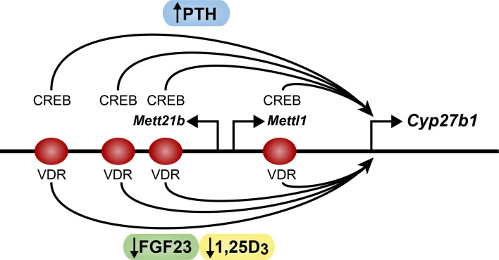 Figure 2