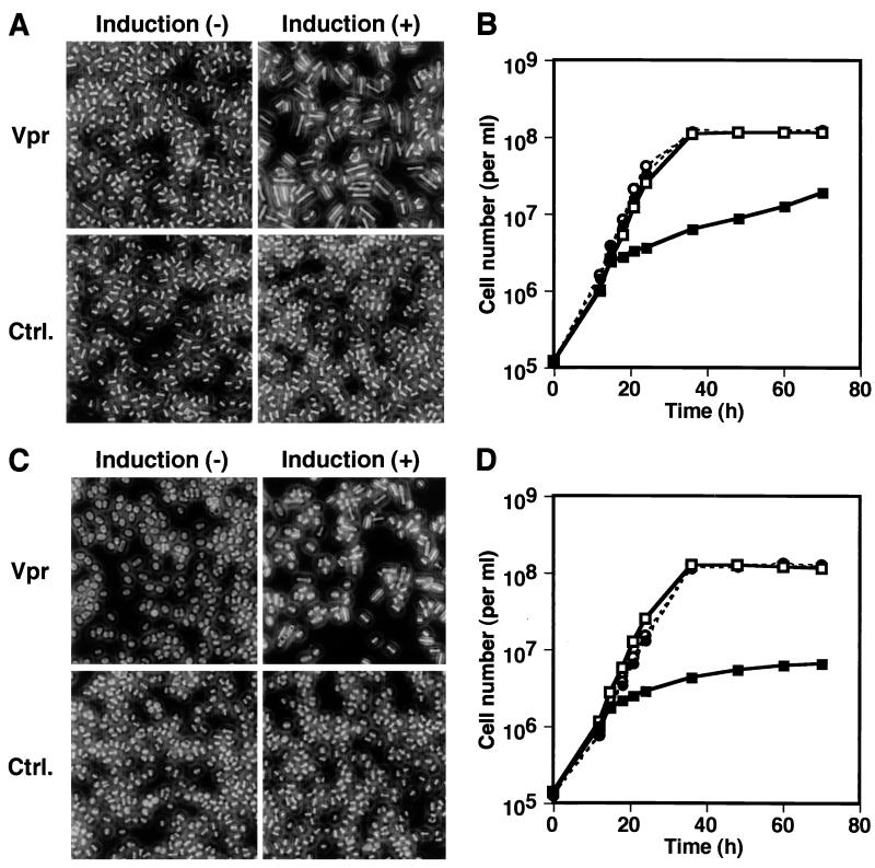 FIG. 6