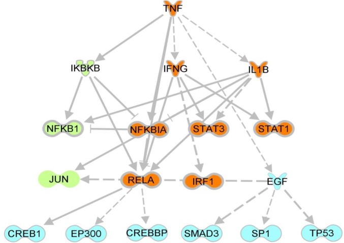 Fig. 3.