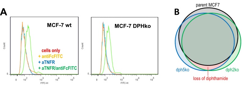 Fig. S5.