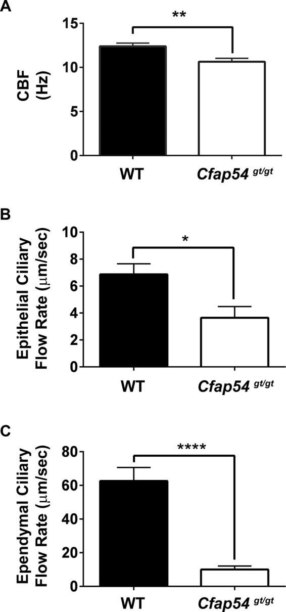 FIGURE 7: